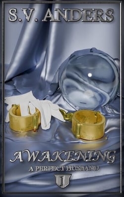 Awakening - A Perfect Husband, #1