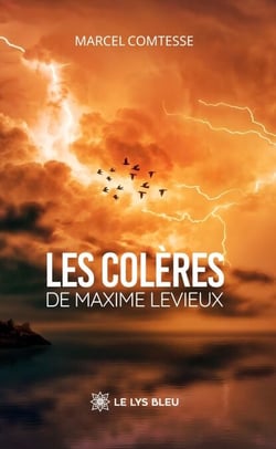 Les colères de Maxime Levieux