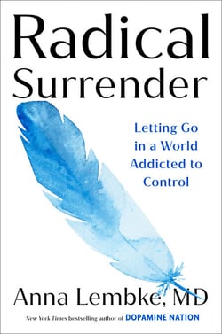 Radical Surrender - Letting Go in a World Addicted to Control