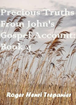 Precious Truths From John's Gospel Account: Book 4 - The Word Of God Library, #52