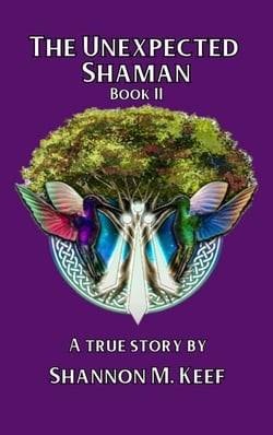 The Unexpected Shaman: Book Two - The Unexpected Shaman, #2