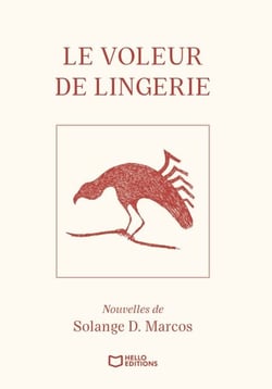Le Voleur de Lingerie