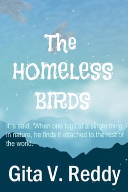 The Homeless Birds - Short Chapter Books for Ages 8-12, #2