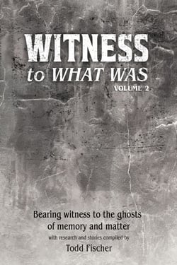WITNESS to What Was:  Volume 2