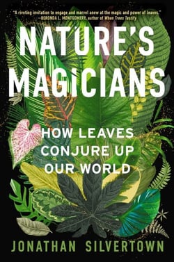 Nature's Magicians - How Leaves Conjure Up Our World