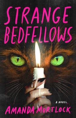Strange Bedfellows - A Novel