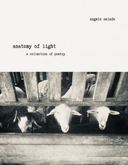 Anatomy of Light