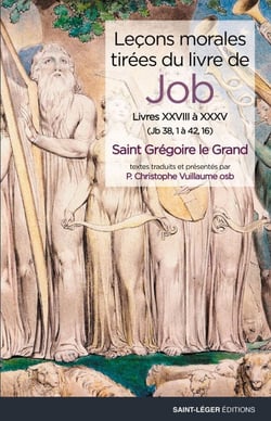 Leçons morales tirées du livre de Job - Tome 7 - Livres XXVIII à XXXV