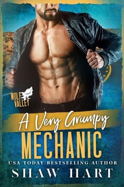 A Very Grumpy Mechanic - Wolf Valley: Grumps, #12