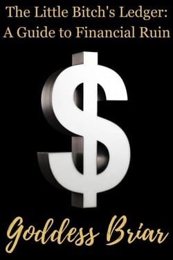The Little Bitch's Ledger: A Guide to Financial Ruin - you suck so hard, #3
