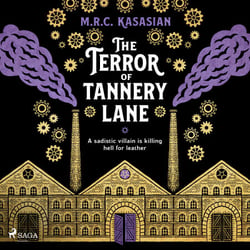 The Terror of Tannery Lane: A beguiling and compelling Victorian crime caper