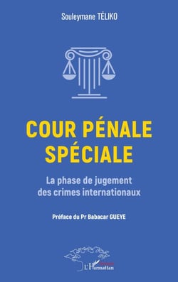 Cour pénale spéciale - La phase de jugement des crimes internationaux