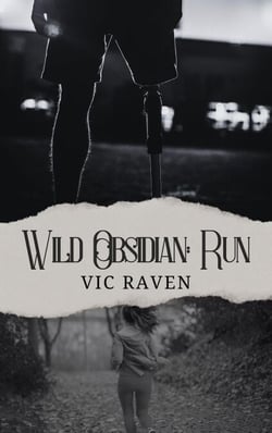 Wild Obsidian: Run - Wild Obsidian, #5