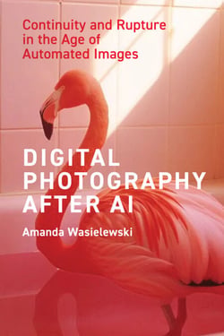 Digital Photography After AI - Continuity and Rupture in the Age of Automated Images