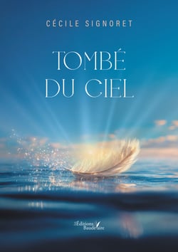 Tombé du ciel