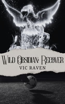 Wild Obsidian: Recover - Wild Obsidian, #6