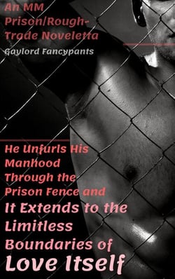 He Unfurls His Manhood Through the Prison Fence and It Extends to the Limitless Boundaries of Love Itself: An MM Prison/Rough-Trade Noveletta