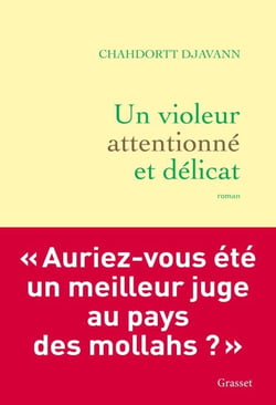 Un violeur attentionné et délicat - Roman