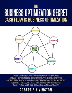 The Business Optimization Secret - BusinessWiser Cash Flow Mastery Series, #1