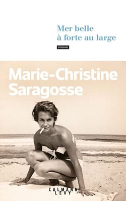 Mer belle à forte au large