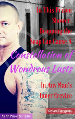 In This Prison Shower, Dropping the Soap Can Cause a Constellation of Wondrous Lusts in Any Man's Inner Crevice: An MM Prison Novelette - Alaskan Prisoners Fall in Love Like Icicles Stump Steam and Stab Stentorian Lies, #1