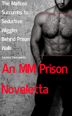The Mafioso Succumbs to Seductive Wiggles Behind Prison Walls: An MM Prison Noveletta