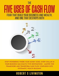 The Five Uses of Cash Flow - BusinessWiser Cash Flow Mastery Series, #4