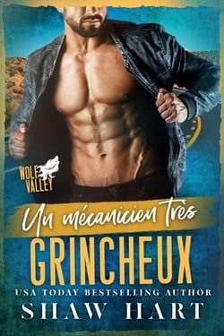 Un mécanicien très grincheux - Wolf Valley: Grumps, #12