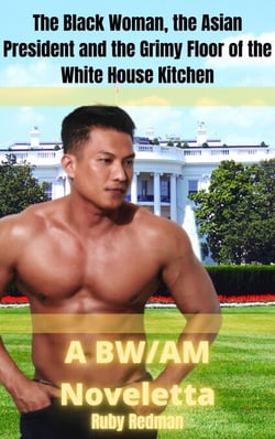 The Black Woman, the Asian President and the Grimy Floor of the White House Kitchen: A BW/AM Noveletta