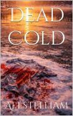 Dead Cold - Emerson and Snow, #9