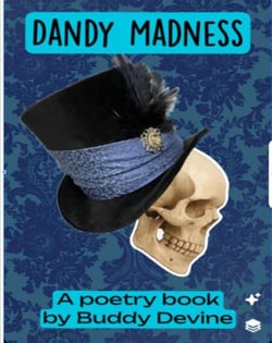 Dandy Madness A poetry book