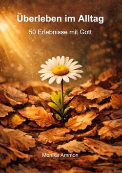 Überleben im Alltag - 50 Erlebnisse mit Gott