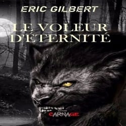 Le voleur d'éternité