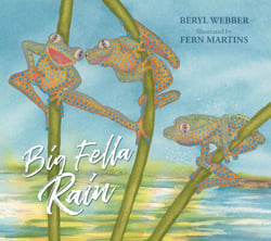 Big Fella Rain