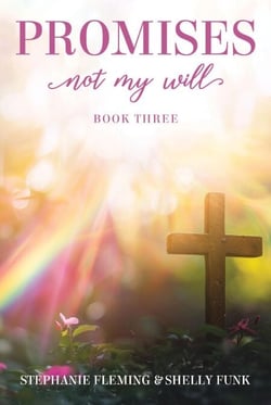 Promises - Not My Will