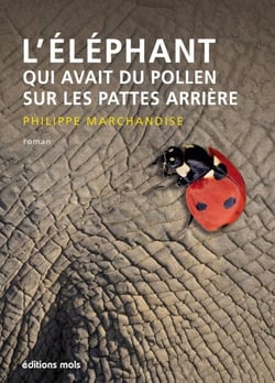 L'éléphant qui avait du pollen sur les pattes arrière