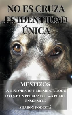 MESTIZOS. NO ES CRUZA. ES IDENTIDAD ÚNICA - MESTIZOS