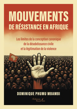 Mouvements de résistance en Afrique - Les limites de la conception canonique de la désobéissance civile et la légitimation de la violence