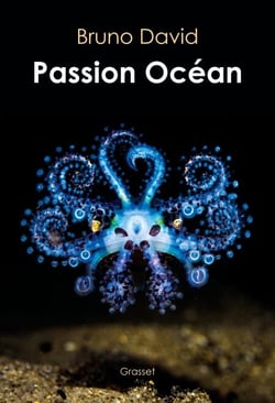 Passion océan