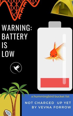 WARNING: battery is low [A Hummingbird List] - The Jazzy Hummingbird Project