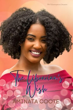 The Librarian's Wish - The Hummingbird Chronicles, #4