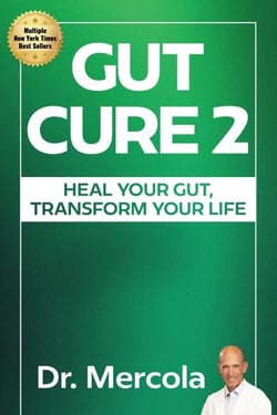 Gut Cure 2 - Heal Your Gut, Transform Your Life