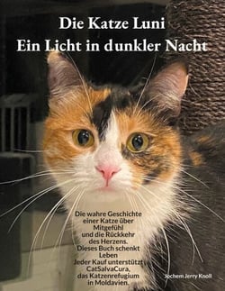 Die Katze Luni - Ein Licht in dunkler Nacht - Eine wahre Geschichte über Mitgefühl und die Rückkehr des Herzens