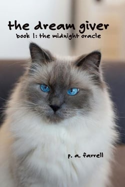The Dream Giver, Book 1 of The Midnight Oracle - The Midnight Oracle, #1