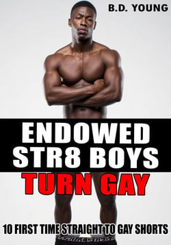 Large Str8 Boys: Straight to Gay 10 Story Bundle | Cultura