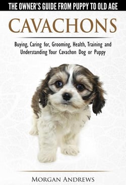 Cavachons  - The Owner's Guide from Puppy To Old Age - Choosing, Caring for, Grooming, Health, Training and Understanding Your Cavachon Dog or Puppy