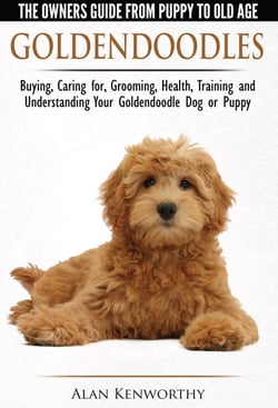 Goldendoodle - The Owners Guide from Puppy to Old Age - Choosing, Caring for, Grooming, Health, Training and Understanding Your Goldendoodle Dog