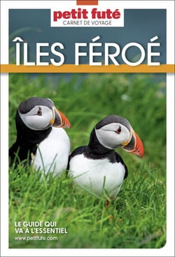 Guide Iles Feroe 2026 Carnet Petit Futé
