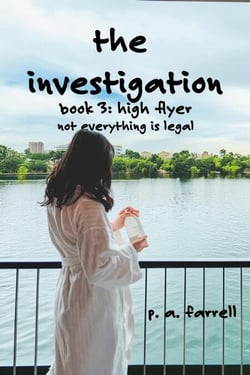 The Investigation - High Flyer, #3