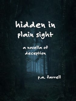 Hidden in Plain Sight